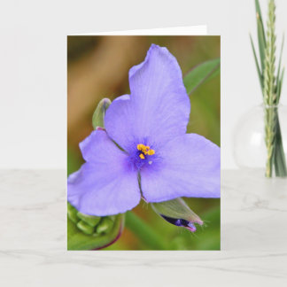 Happy Mother's Day! Card