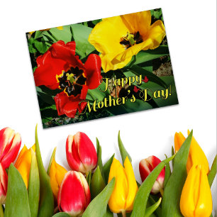 Happy Mother's Day Cheerful Red And Yellow Tulips