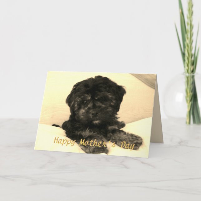 Happy Mother's Day Cute Baby Dog Card (Front)
