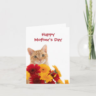Happy Mother's Day Cute Cat greeting card