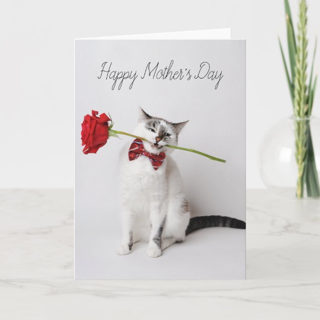 Happy Mother's Day cute cat with yellow flowers Ca Thank You Card (Front)