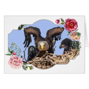 Happy Mother's Day, Eagles