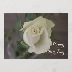 Happy Mother's Day Elegant White Rose Card
