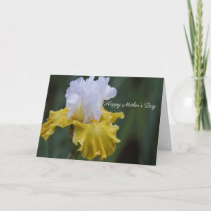 Happy Mother's Day Folded Greeting Card