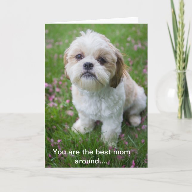 Happy Mother's Day from Edie the Shih tzu Card (Front)