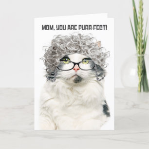 Happy Mothers Day Funny Old Cat With Grey Hair Holiday Card
