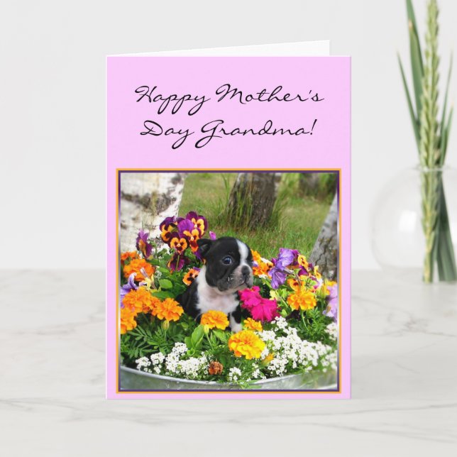 Happy Mother's day Grandma Boston Terrier card (Front)