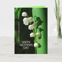 Happy Mother's Day Great Grandmother Lily of the V