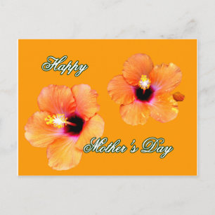 Happy Mother's Day Hibiscus Orange Orange bg The M Postcard
