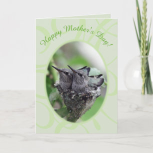 Happy Mother's Day   Hummingbirds in Nest Photo    Holiday Card