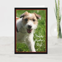 Happy Mother's Day Jack Russell Terrier card