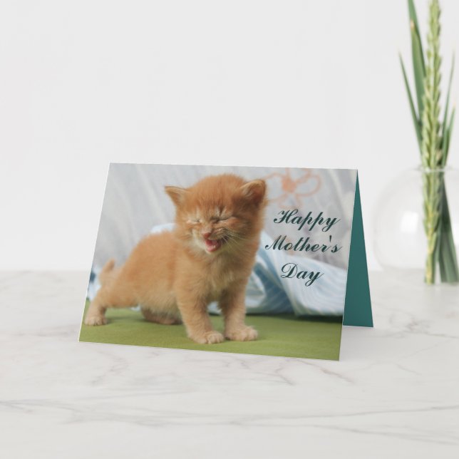 Happy Mother's Day Kitten Card (Front)