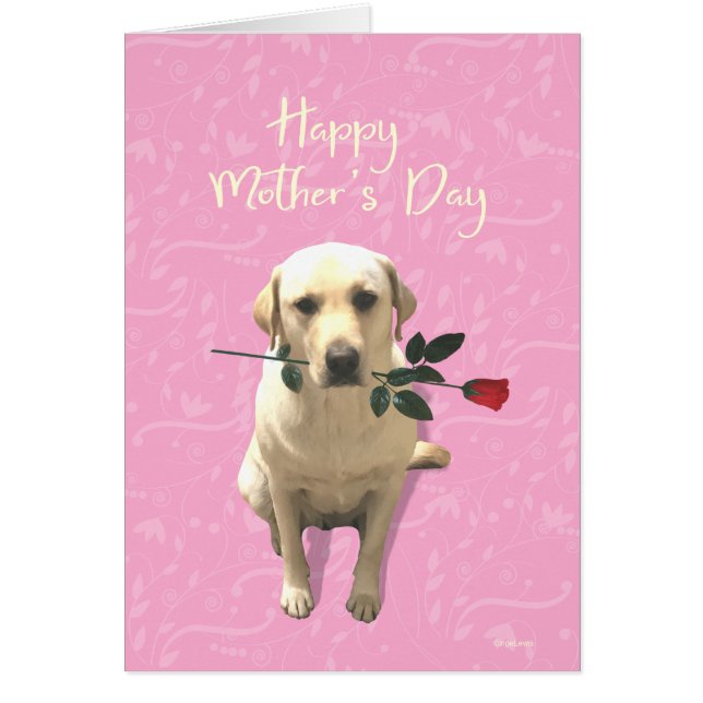 Happy Mothers Day, Labrador Dog Rose, Adorable (Front)