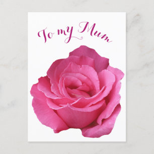 Happy Mother's Day Mom pretty hot pink rose floral Postcard