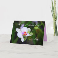 Happy Mother's Day Mother Phalaenopsis Orchid Card