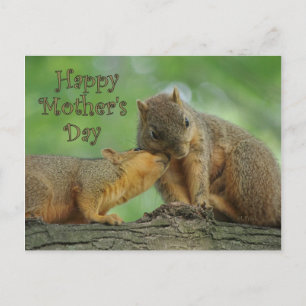 Happy Mother's Day - Mum and Baby Squirrel Postcard