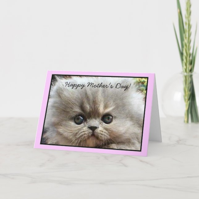 Happy Mother's Day Persian Kitten greeting card (Front)