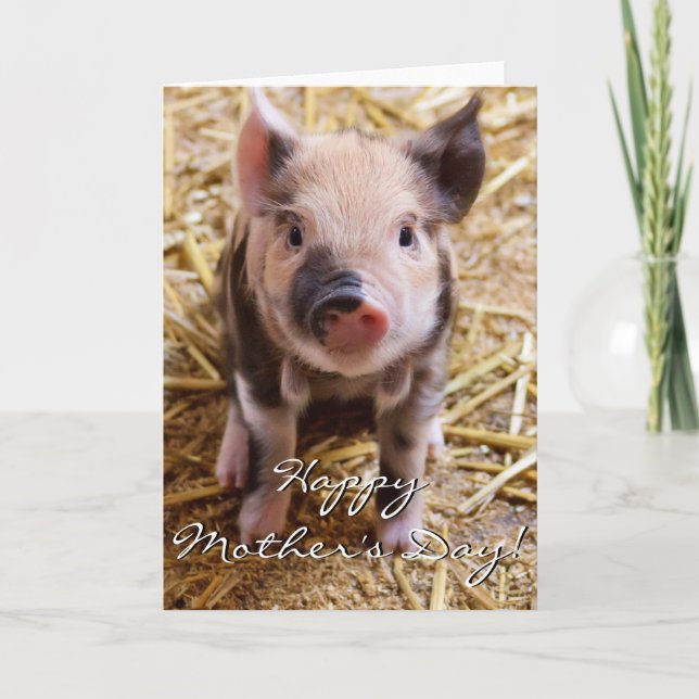 Happy Mother's Day Piglet greeting card (Front)
