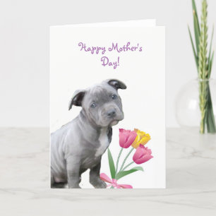 Happy Mother's Day Pitbull puppy card