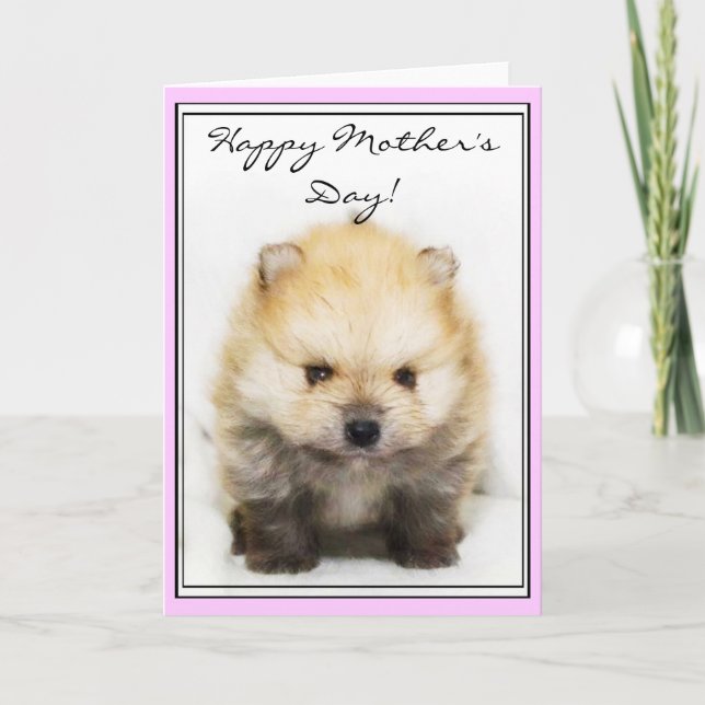 Happy Mother's Day Pomeranian puppy greeting card (Front)