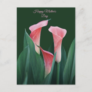 Happy Mother's Day Postcard
