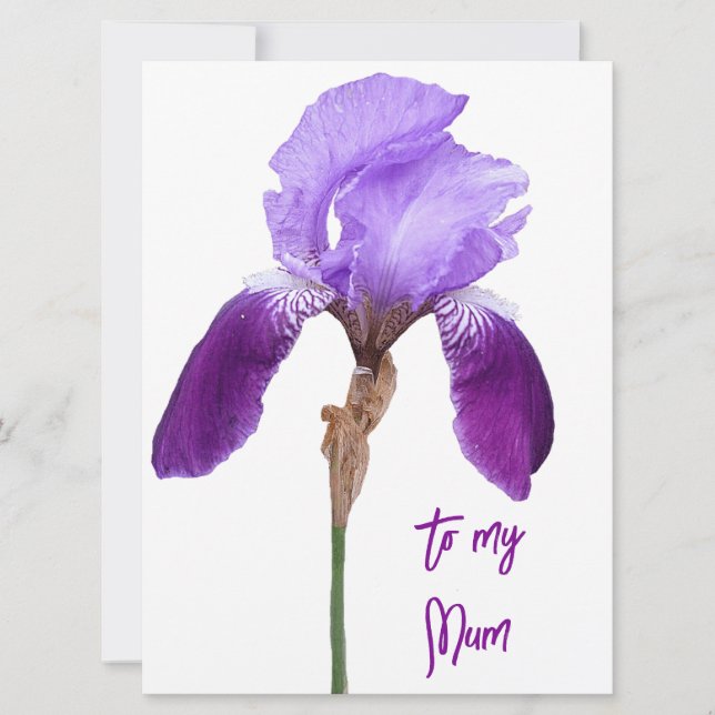 Happy Mother's Day pretty purple iris floral    Holiday Card (Front)