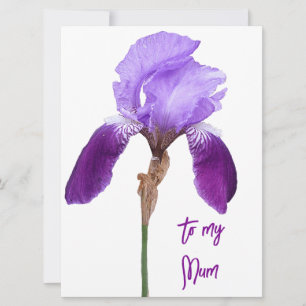 Happy Mother's Day pretty purple iris floral    Holiday Card