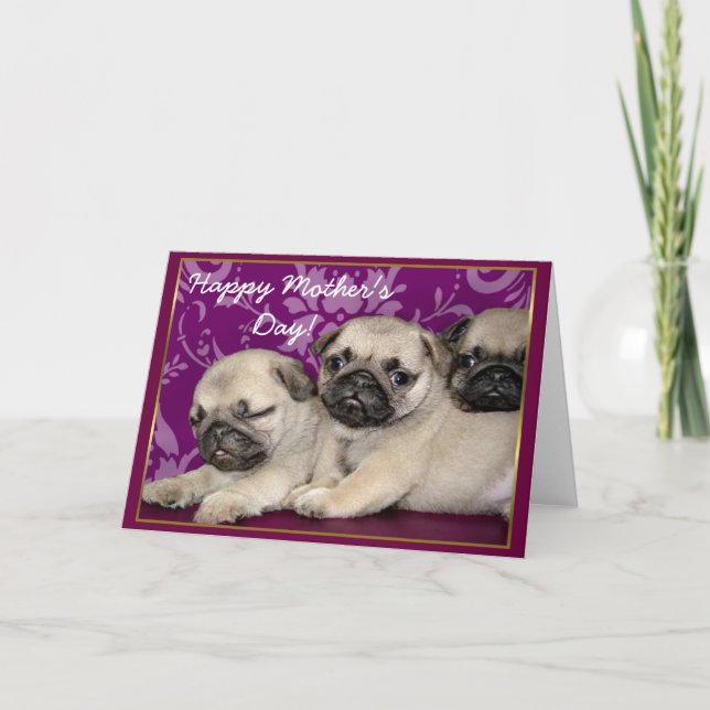 Happy Mother's Day Pug puppies greeting card (Front)