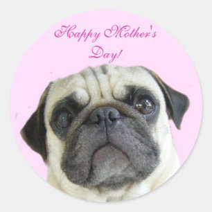 Happy Mother's Day pug stickers