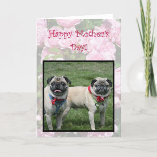 Happy Mother's day pugs greeting card