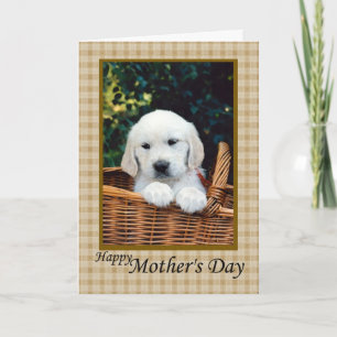 Happy Mother's Day Puppy in a basket Card