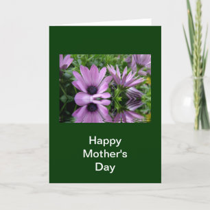 Happy mother's day purple daisy flowers card