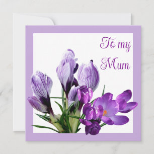 Happy Mother's day purple floral bright colourful  Card