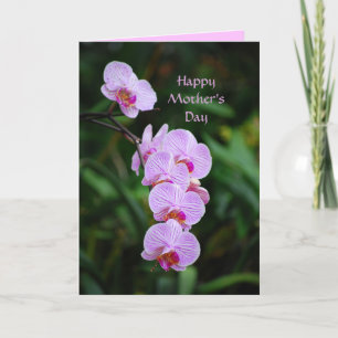 Happy Mother's Day Purple Phalaenopsis Orchid Card