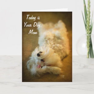 Happy Mother's Day Relaxing Dog Card by Lois Bryan
