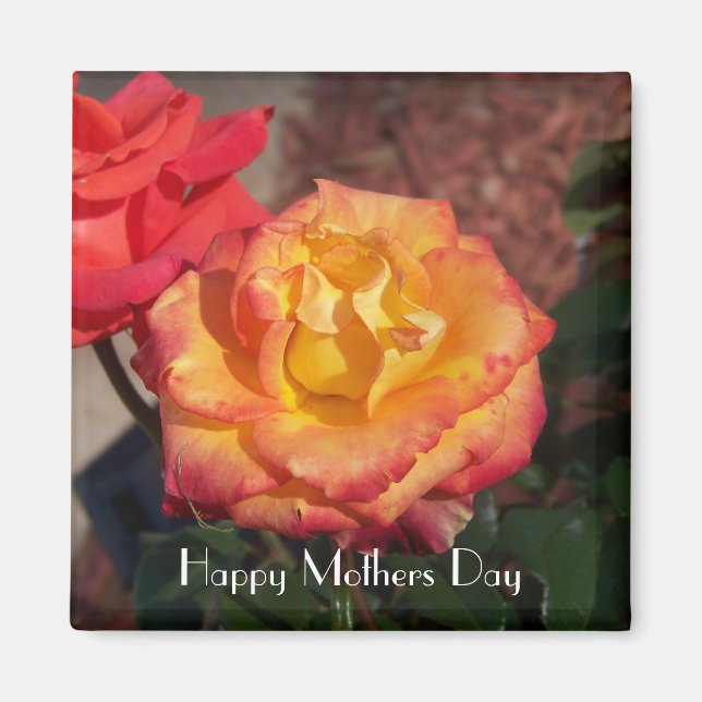 Happy Mothers Day Rose Magnet (Front)