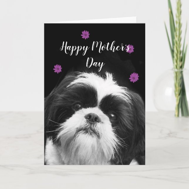 Happy Mother's Day Shih Tzu greeting card (Front)
