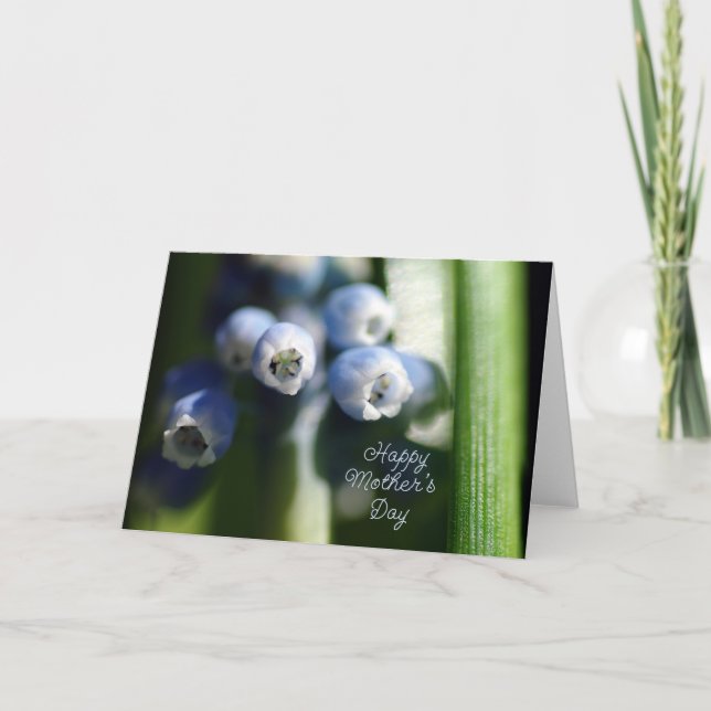 Happy Mother's Day - Spring Bud Card (Front)