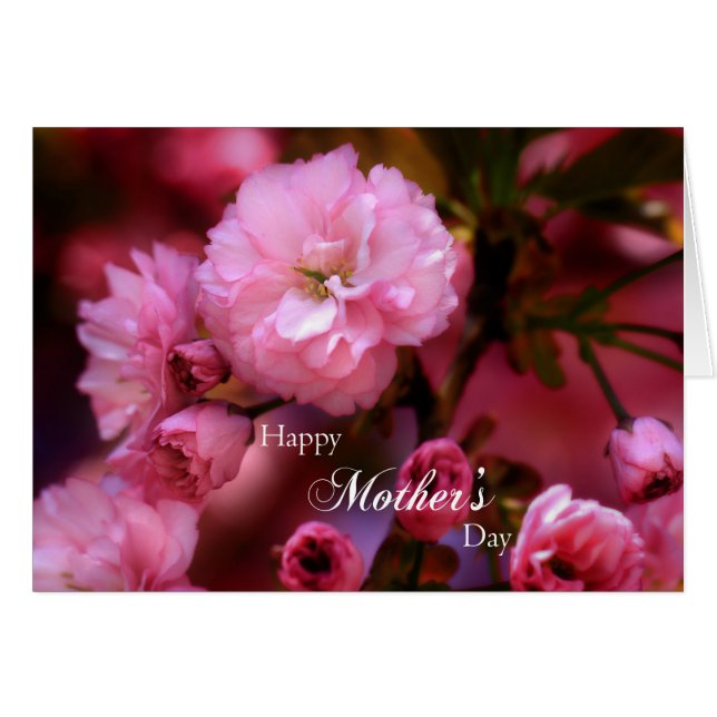 Happy Mothers Day Spring Pink Cherry Blossoms (Front Horizontal)