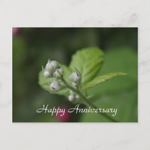 Happy Mother's Day, summer wild raspberry flower Postcard
