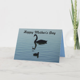 Happy Mother's Day - Swan and baby Card