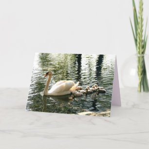 Happy Mother's Day Swan Family Greeting Card
