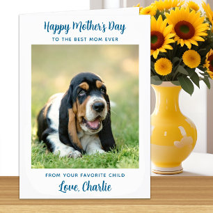 Happy Mother's Day - Teal Dog Photo Best Dog Mom Card