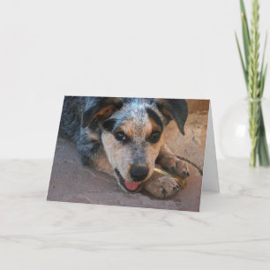 Happy Mother's Day to Best Mum - Dog Lover Card