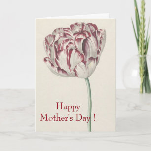 Happy Mothers Day   Vintage Red and White Tulip Card