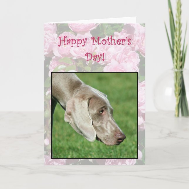 Happy Mother's Day Weimaraner greeting card (Front)
