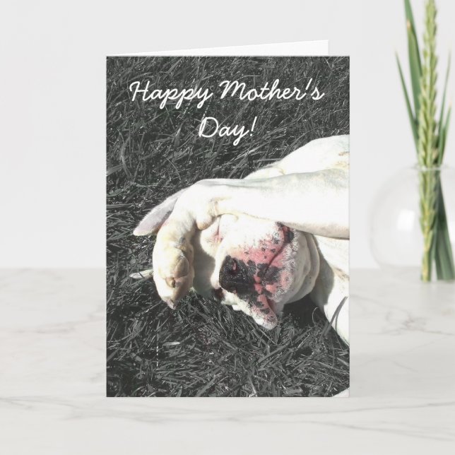 Happy Mother's Day White boxer greeting card (Front)