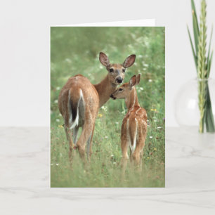 Happy Mother's Day White-Tailed Deer Fawn Card