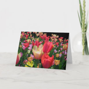 Happy Mother's Day With Tulips Card