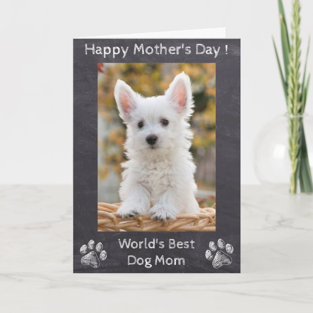 Happy Mothers Day - World's Best Dog Mom - Photo Card (Front)